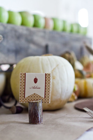 anders-ruff-rustic-thanksgiving-place-card-names